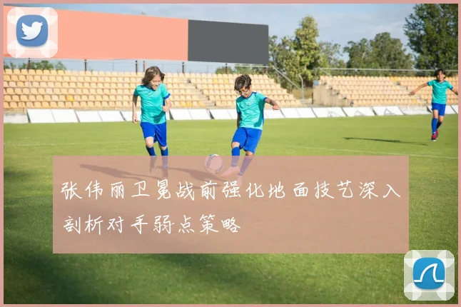 张伟丽卫冕战前强化地面技艺深入剖析对手弱点策略